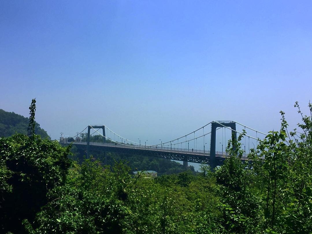 緑の向こうの吊り橋