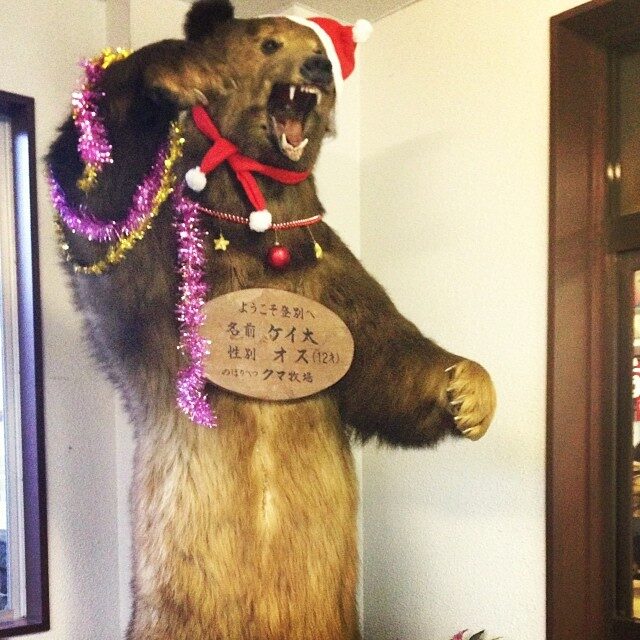 サンタの帽子をかぶったクマの剥製