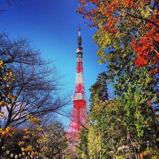 紅葉の向こうの東京タワー