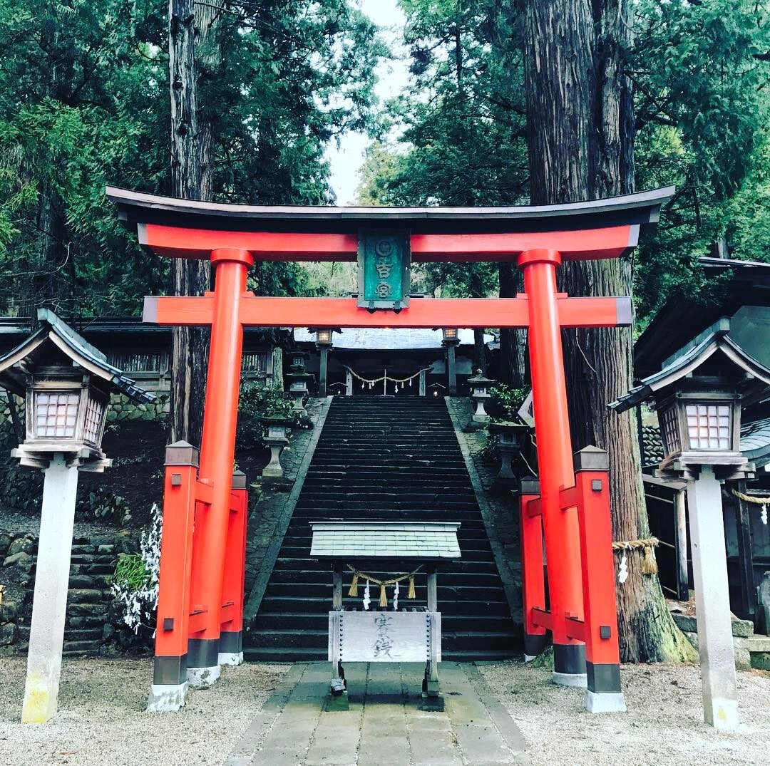 杉木立の中の、赤い鳥居と石段