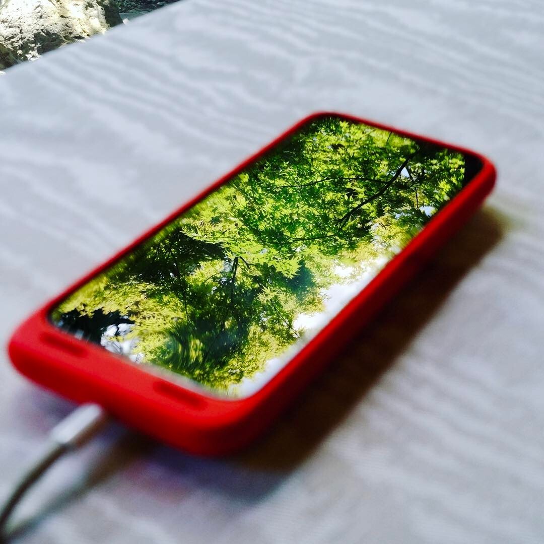 スマホの画面にも、森のみどり