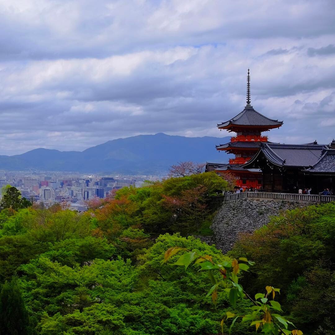 新緑の山と、三重塔のむこうの京都の町