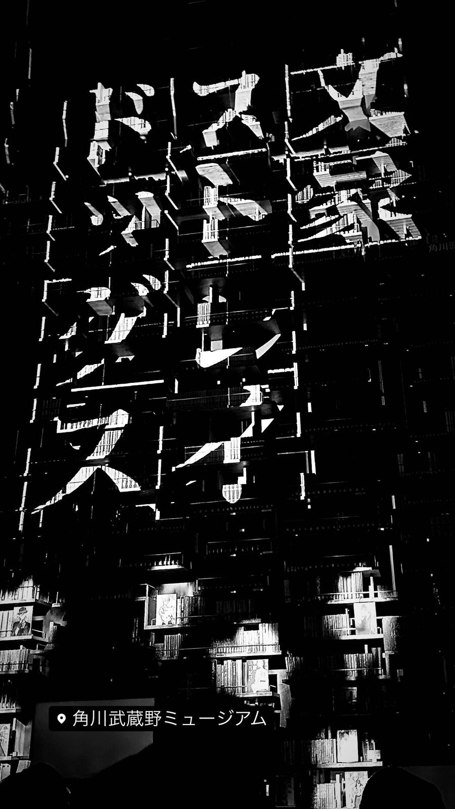 「文豪ストレイドッグス」の文字が浮かぶ壁（モノクロ）