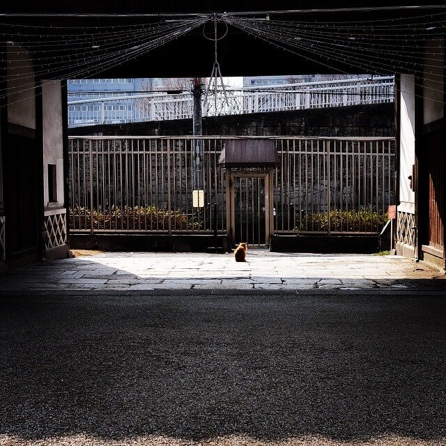 暗い門の向こうの明るい道