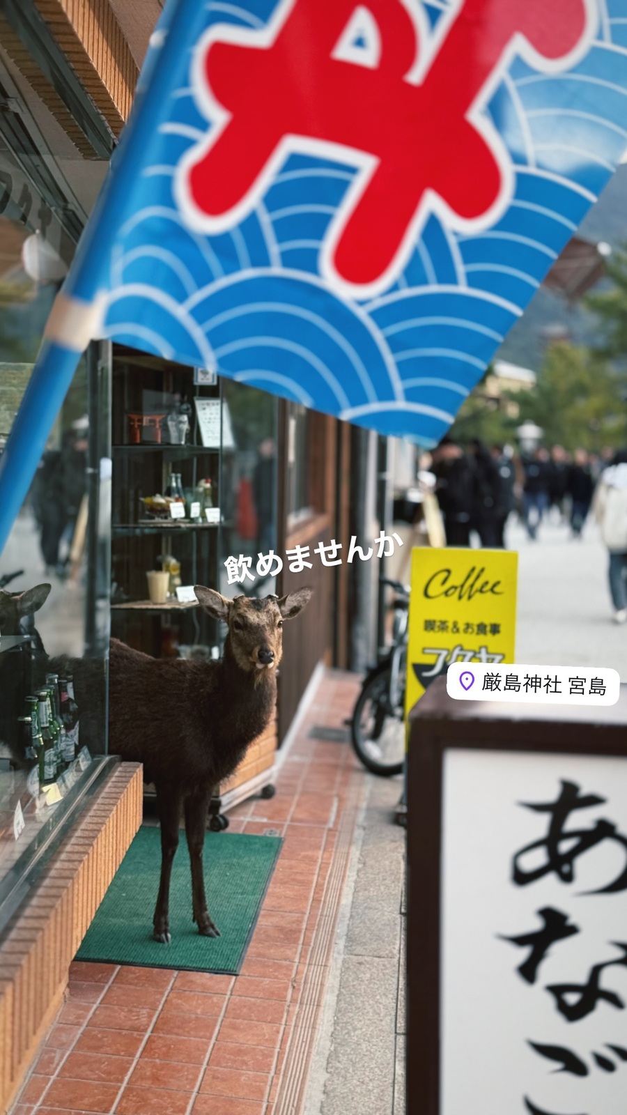 店先の、のれんの下の鹿