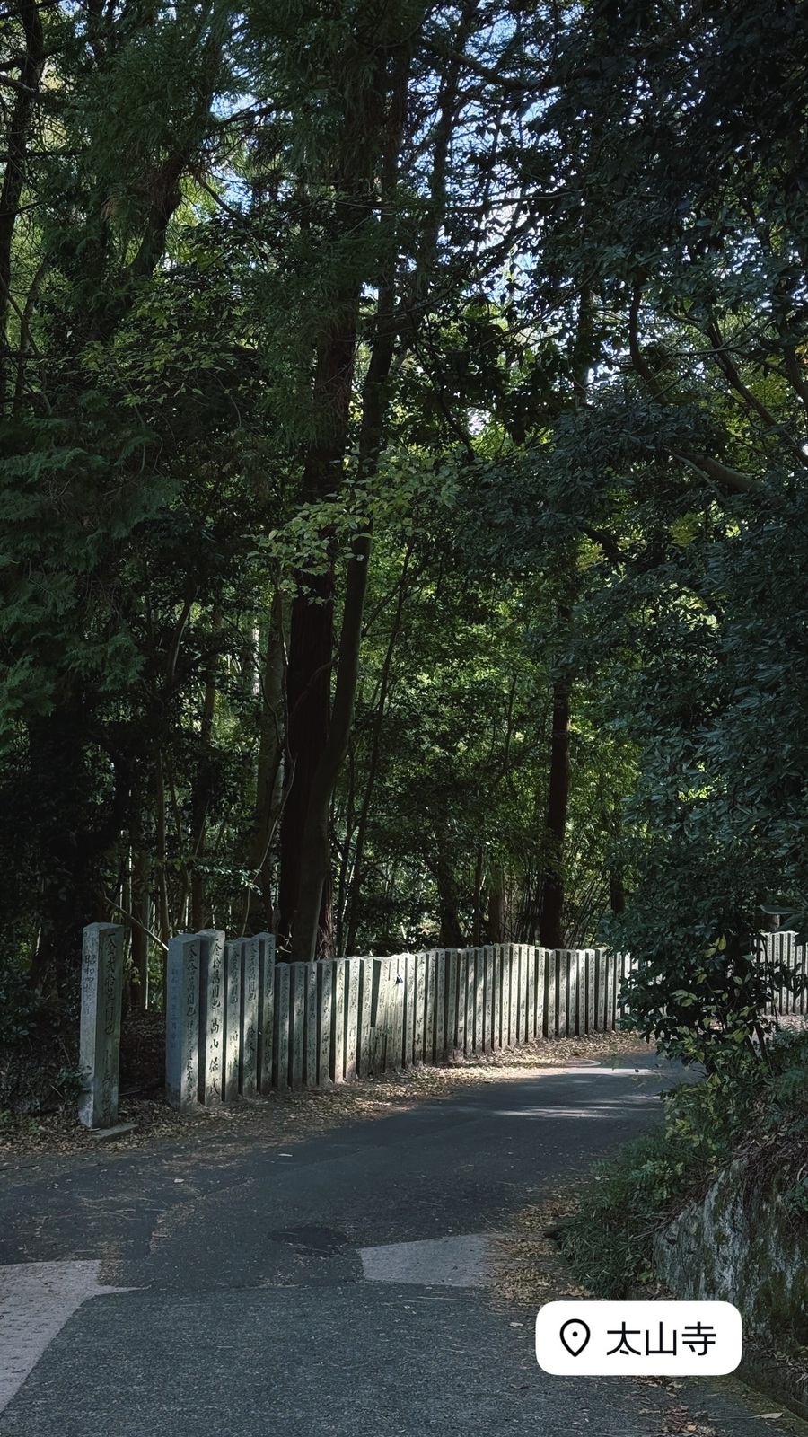 木立の中の境内