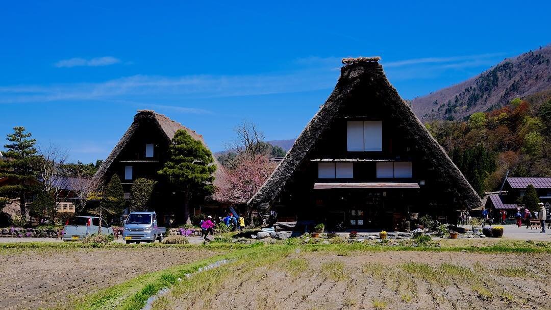田んぼの向こうの合掌造り