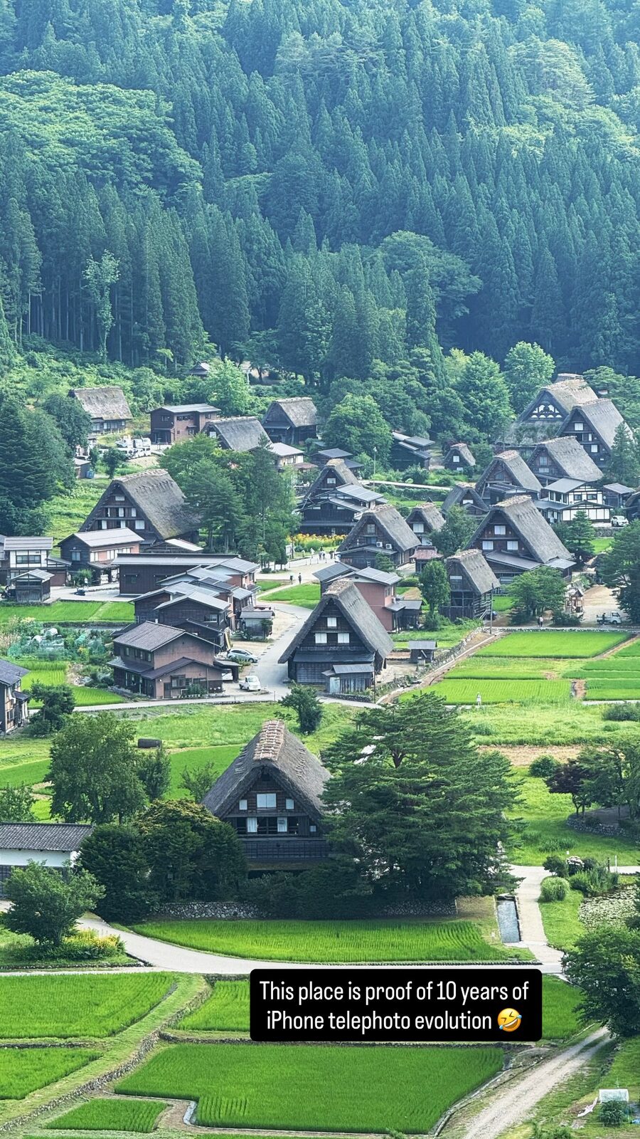 田んぼと森にかこまれた合掌造りの集落