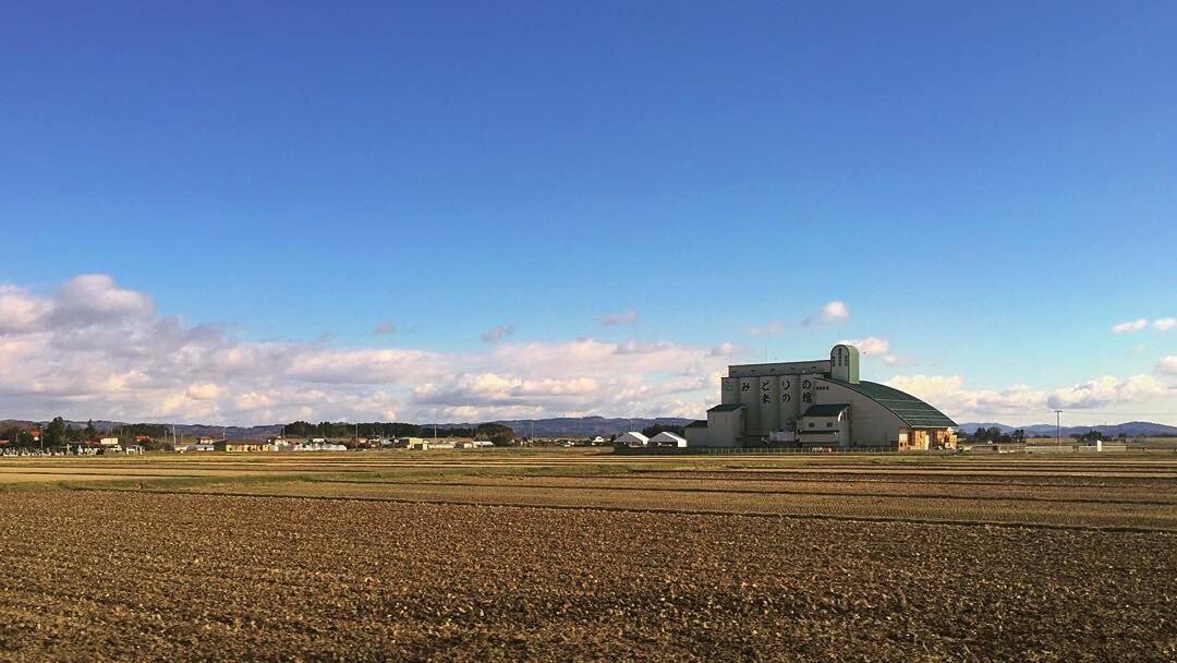 青空の下の広い畑