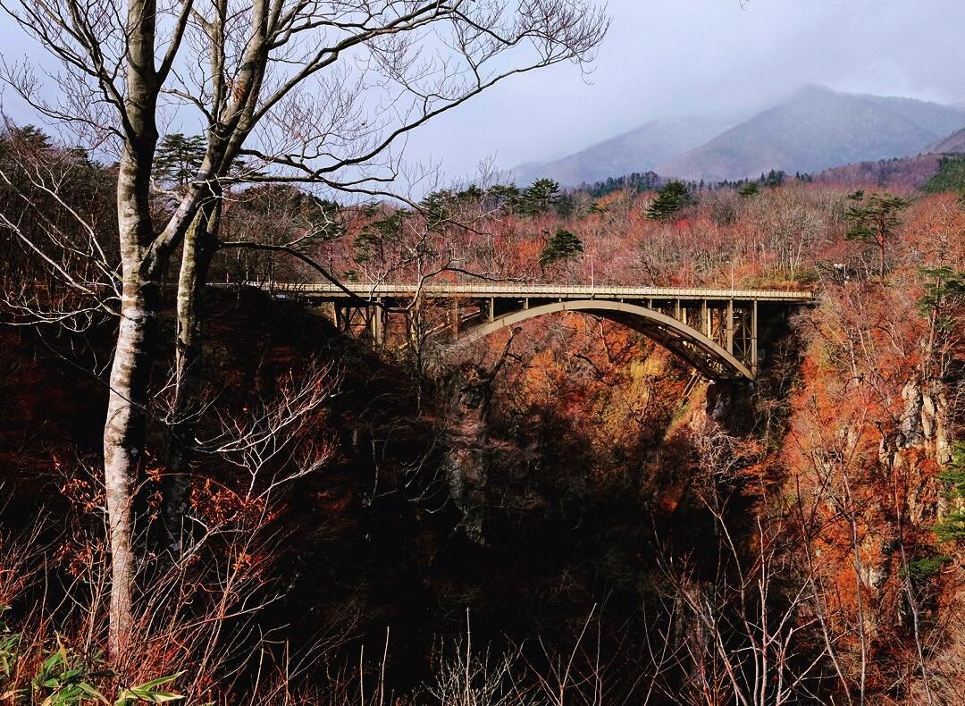 赤い落ち葉におおわれた、木立の道
