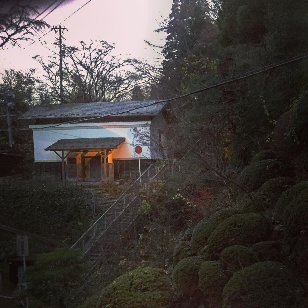 窓の外の森と、灯りのついた小屋
