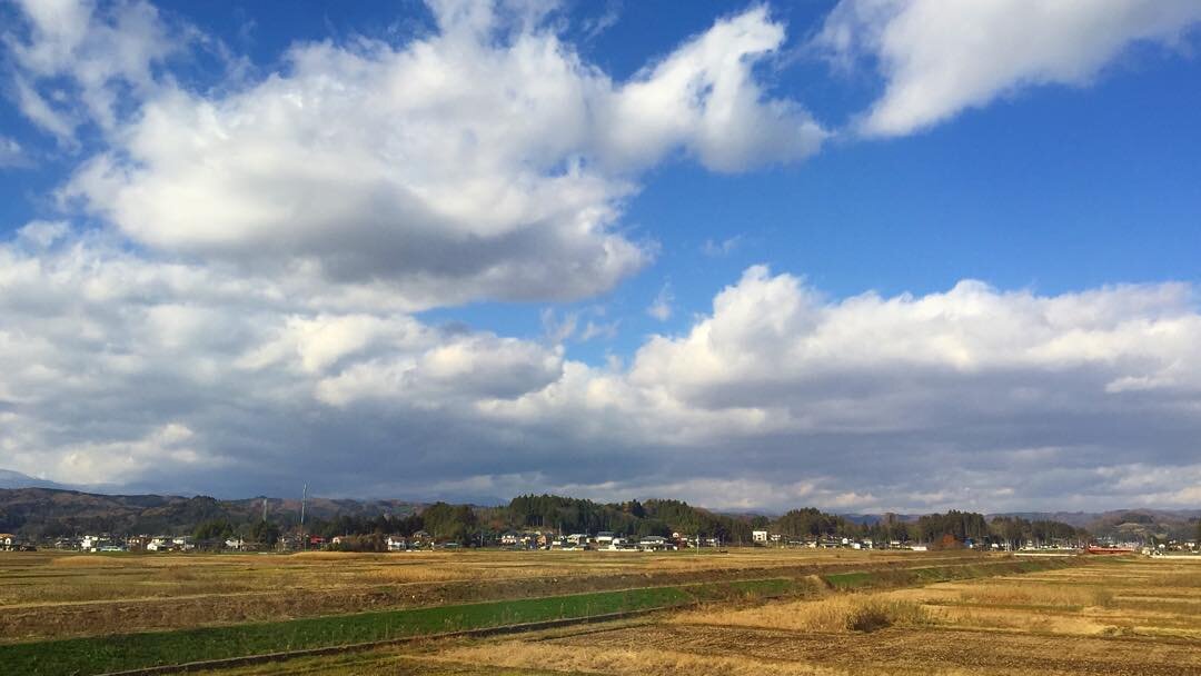 車窓の枯れ草の野と白い雲