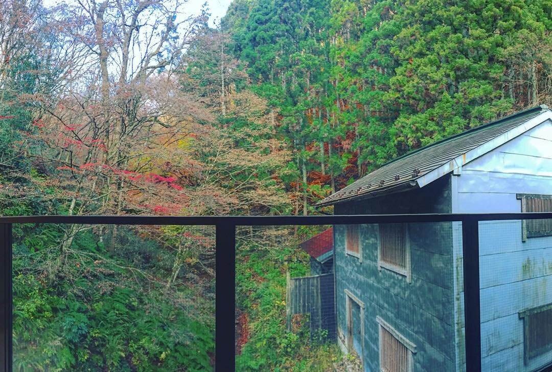 露天風呂から見た、紅葉の森