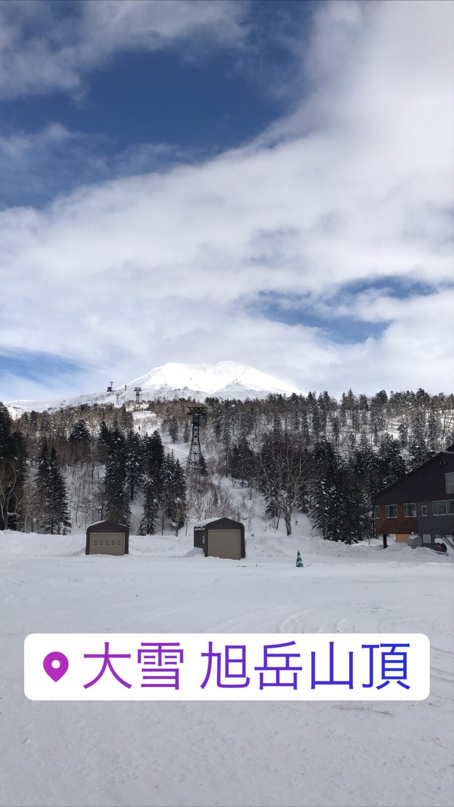 森の向こうの、雪の旭岳
