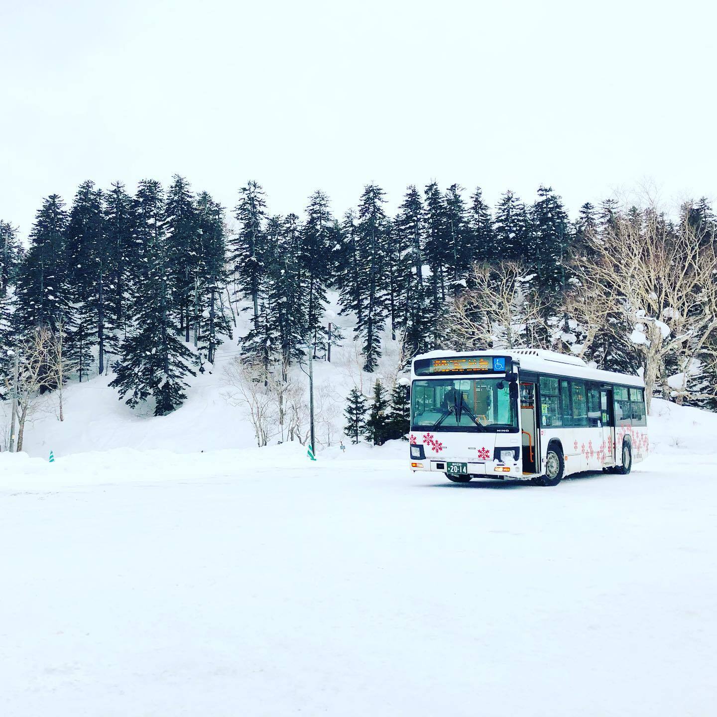 雪の森のなかを走るバス