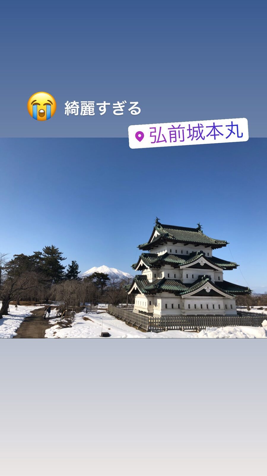 青空の下の弘前城