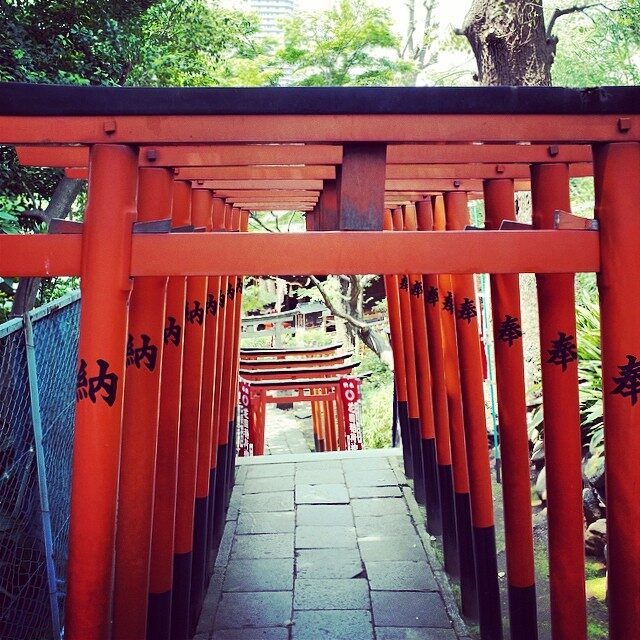 朱い鳥居がつづく参道