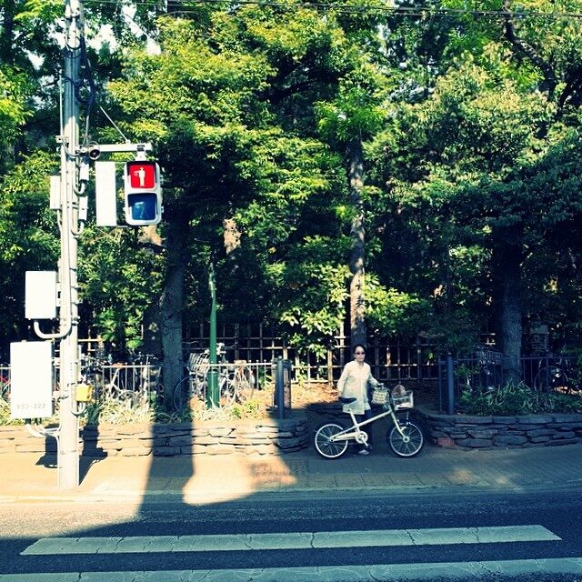 若葉の三鷹の森
