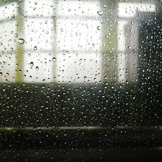 雨つぶの窓ごしの、ロープウェイの駅