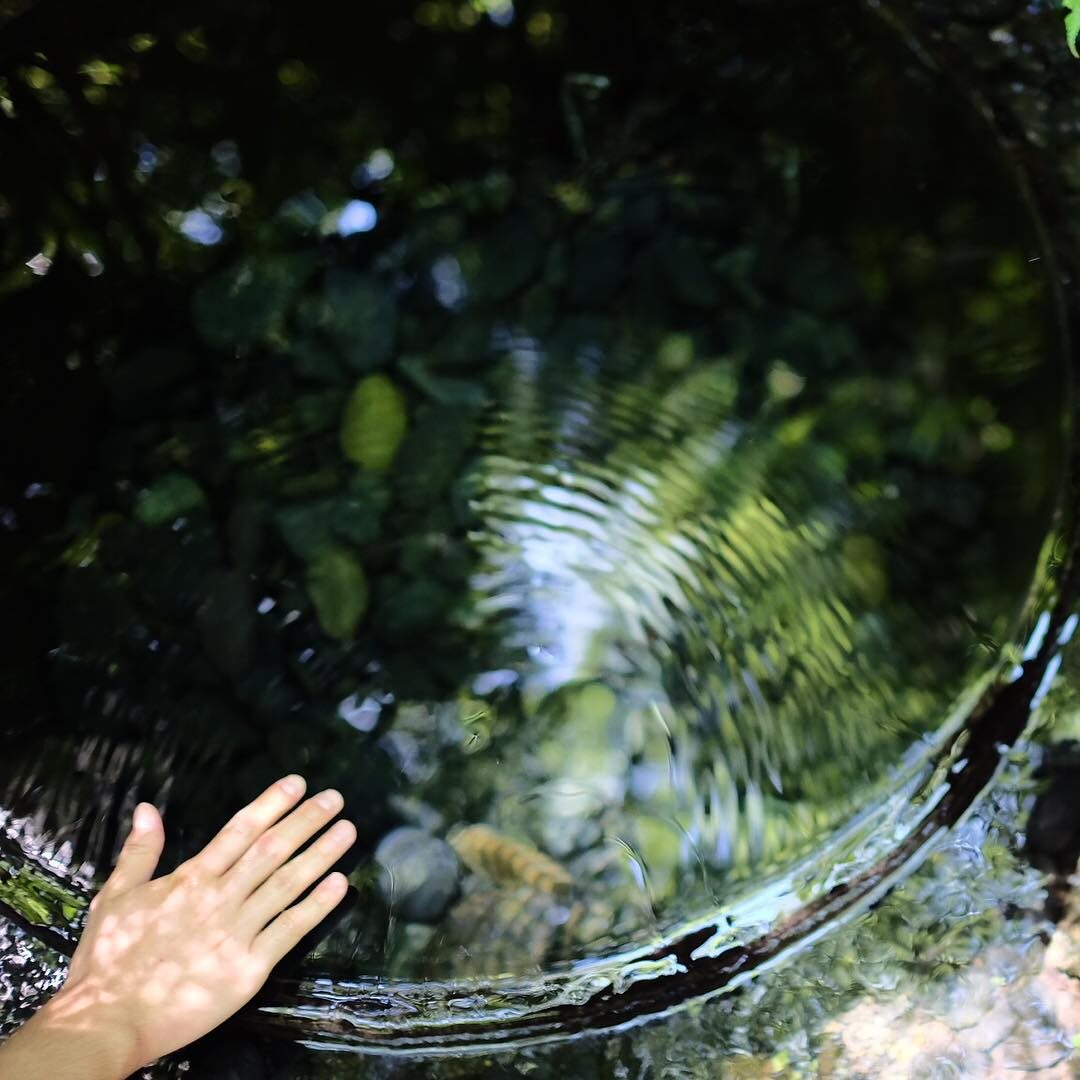 清正井の水面にふれる手