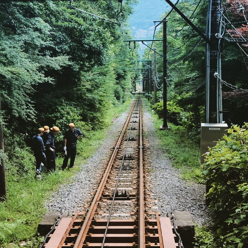 緑の森の中にのびる線路