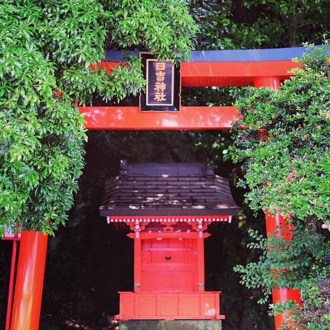 緑の中の朱い社