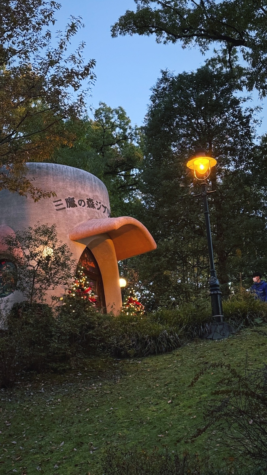 木々のあいだの、美術館の建物と街灯