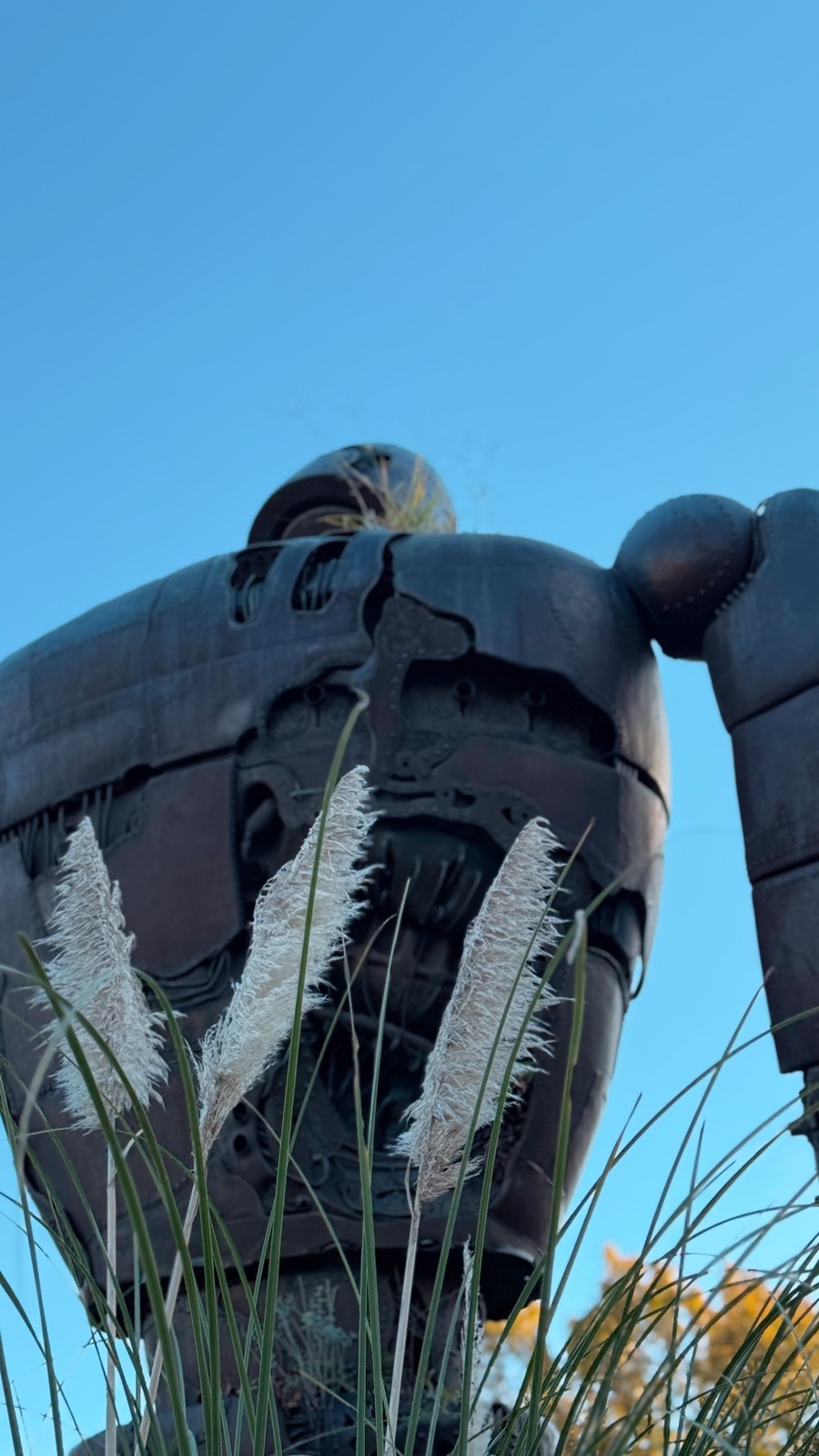 青空の下、屋上に立つロボット兵