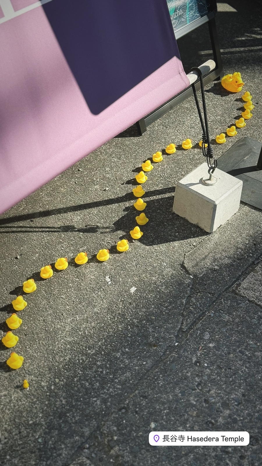 地面に並ぶ黄色い飾り