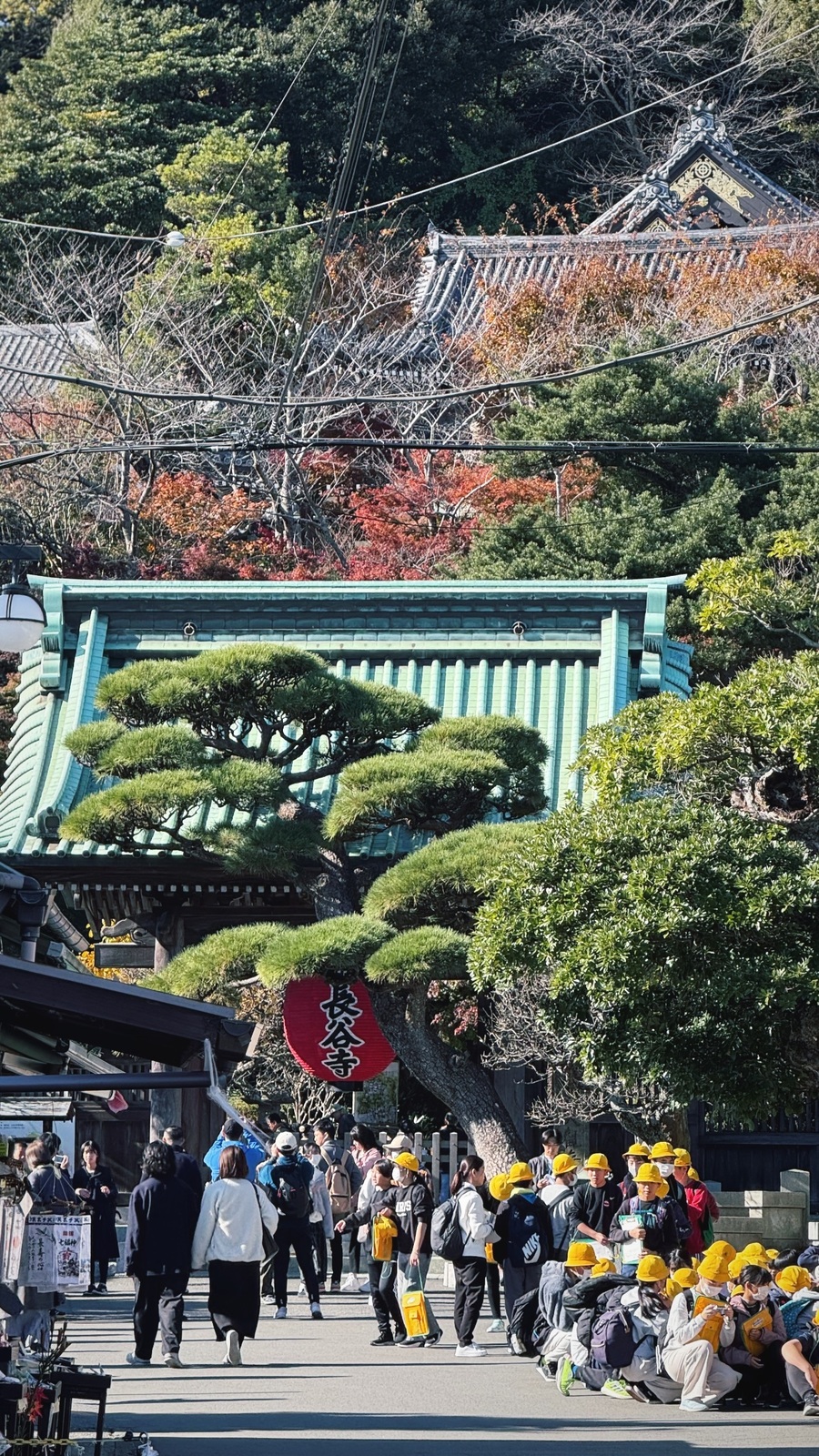 松と紅葉に囲まれた山門