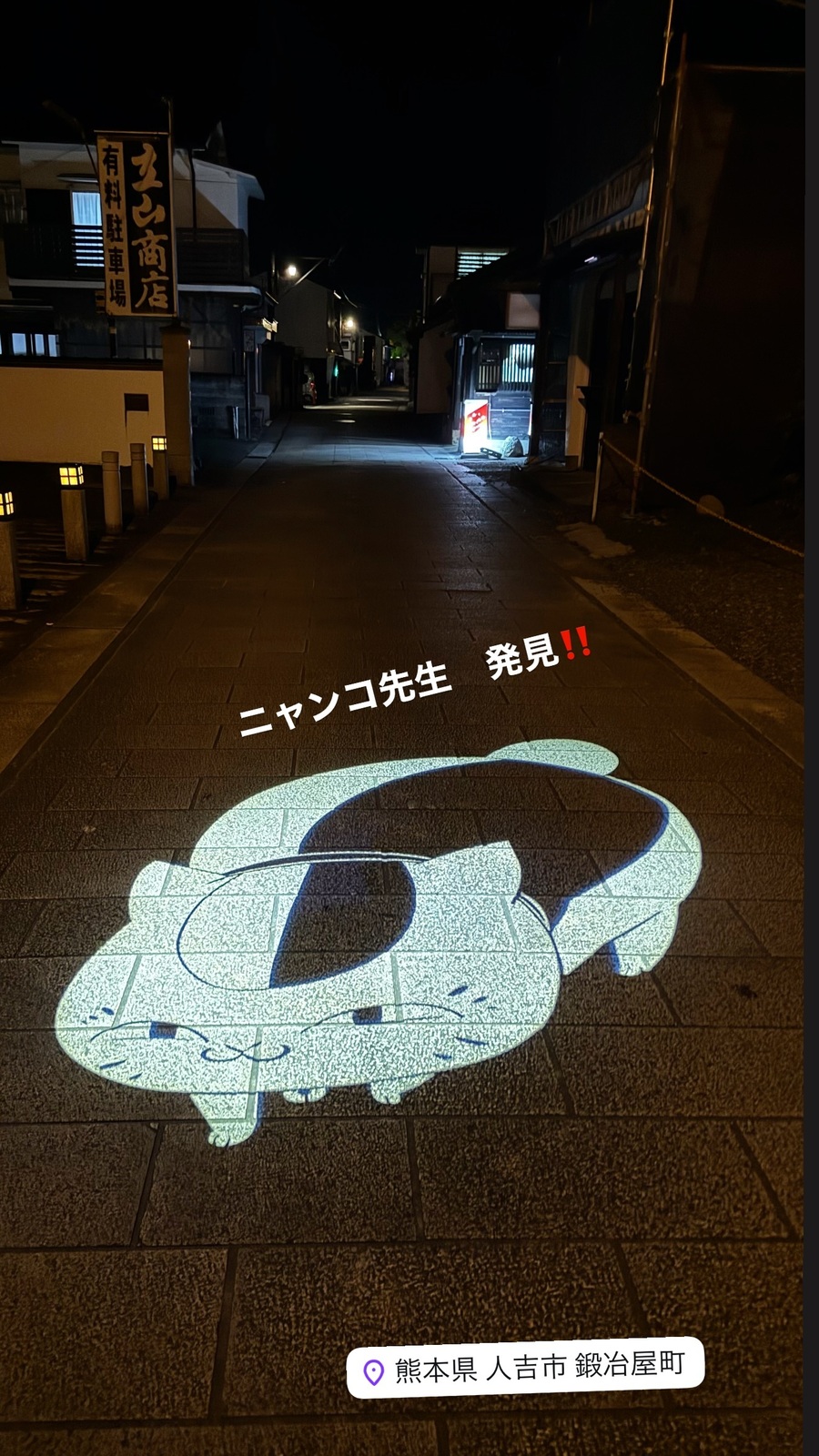 夜の道に映ったニャンコ先生