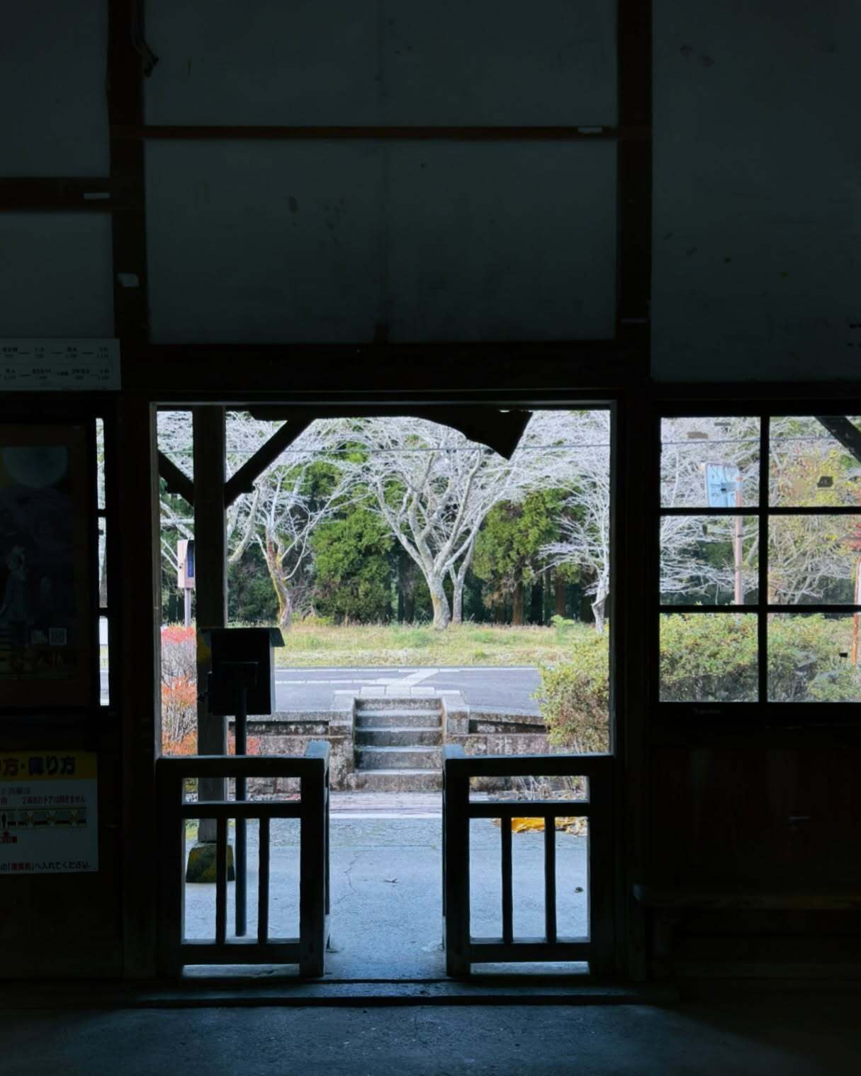 暗い建物の中から見た庭