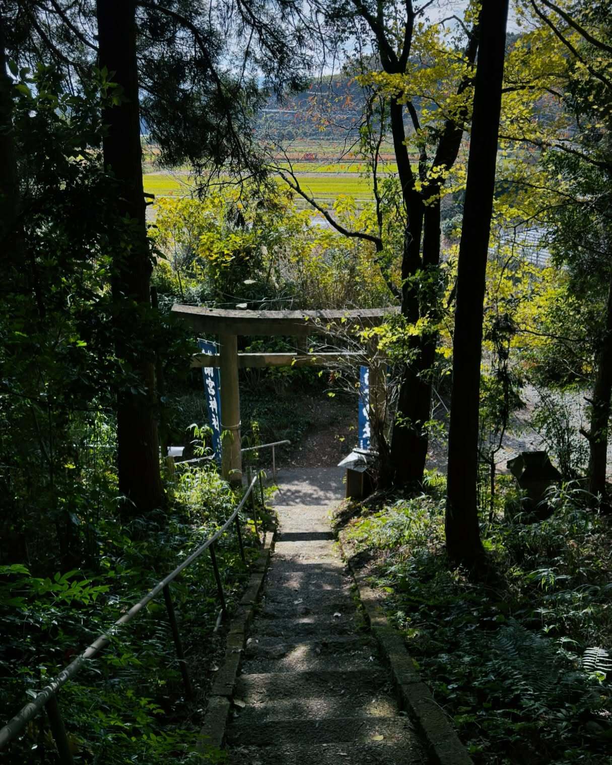 木々のあいだの細い参道