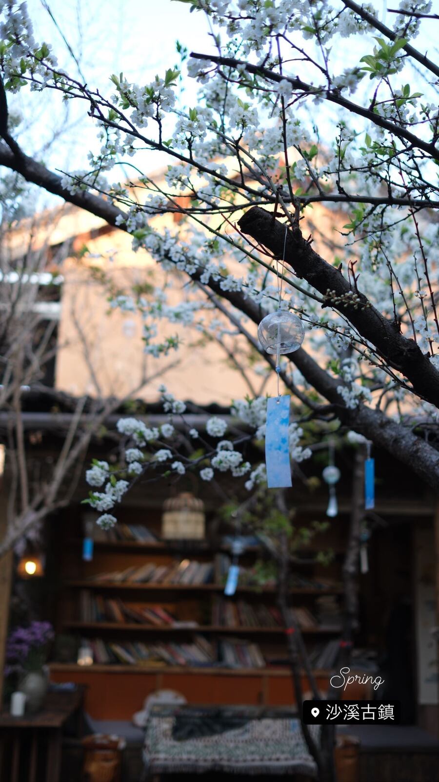白い花の枝の向こうに、本の並ぶ部屋