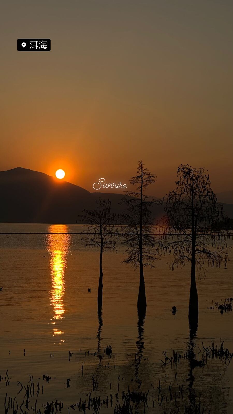 湖の木々の向こうからのぼる朝日